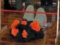 Zodiacon 2012 415.jpg